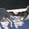 ruhpolding03 167.jpg